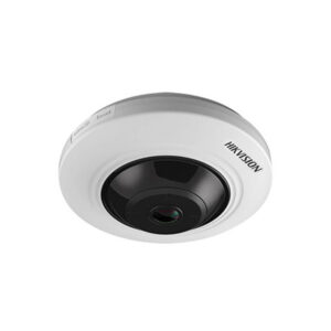 Hikvision DS-2CD2955FWD-IS